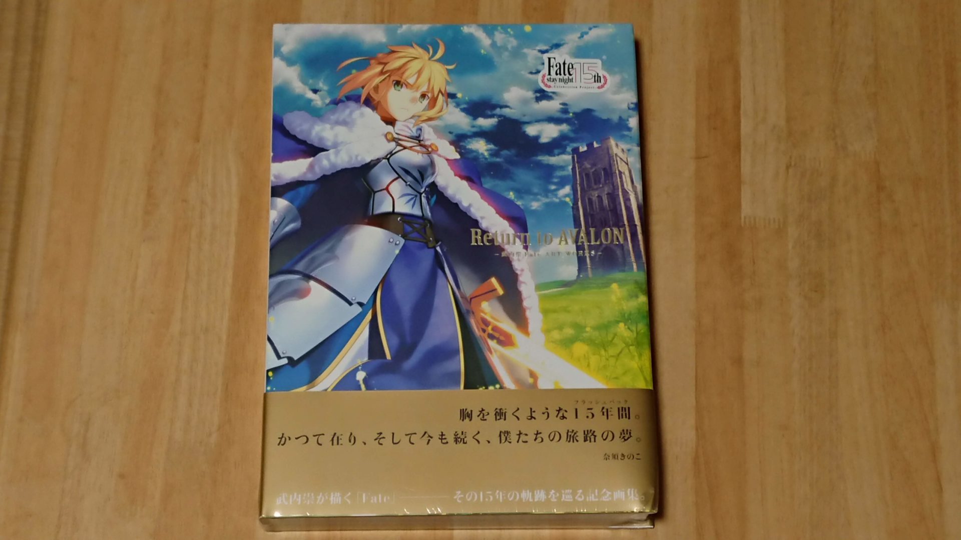 Return to AVALON -武内崇 Fate ART WORKS-